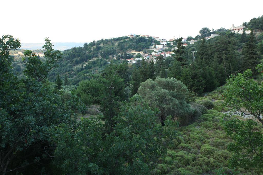 Villa Athina Aryiroúpolis Værelse billede