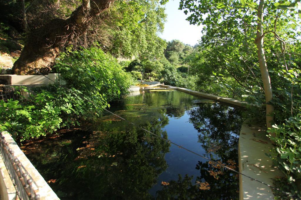 Villa Athina Aryiroúpolis Værelse billede